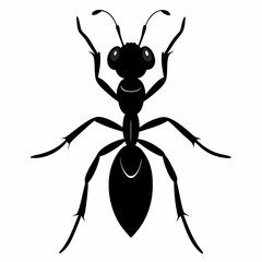 Ant vector silhouette black design white background