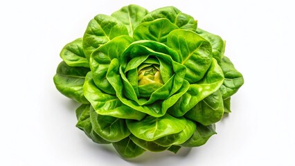 Obraz premium Aerial View Fresh Green Lettuce Isolated White Background
