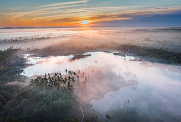 Drone panorama on tiny isles in lake in colorful sunrise colors. Top down view on swamp with isle. Sustainable ecosystem of wetlands.