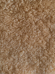 Warm beige fluffy carpet texture with soft, deep-pile fibers, creating a cozy and plush surface for interiors
