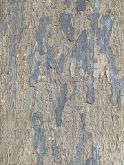 Close-up of a wooden surface with aged, peeling blue paint, revealing distressed and cracked patterns