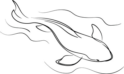 Fototapeta premium Elegant Line Art Koi Fish Swimming Underwater Design