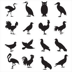 SET OF BLACK VECTOR VARIOUS BIRD SILHOUETTE