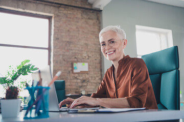 Photo of professional mature lady corporate leader netbook working wear brown shirt coworking nice...