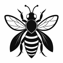 Bee vector silhouette black design white background