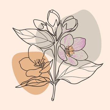 recommend clip art: Minimalist Jasmine Flower Line Art with Abstract Colors  , Elegant line art illustration of a jasmine flower branch with soft pastel accents and abstract shapes, perfect for modern and botanical-theme