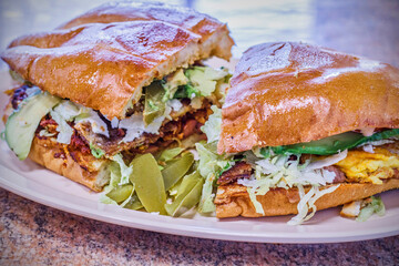 Mexican style torta sandwich with fresh cactus