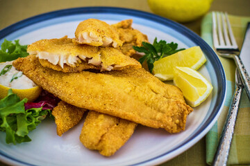crispy fried catfish fillet served with fresh parsley and lemon