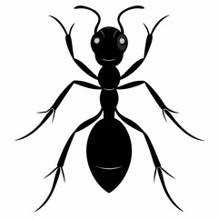 Ant vector silhouette black design white background