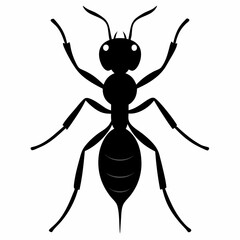 Ant vector silhouette black design white background