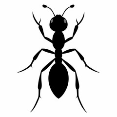 Ant vector silhouette black design white background