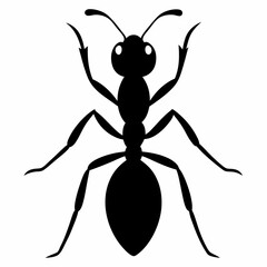 Ant vector silhouette black design white background
