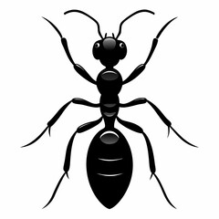Ant vector silhouette black design white background