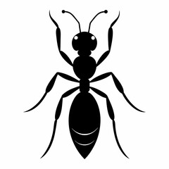 Ant vector silhouette black design white background