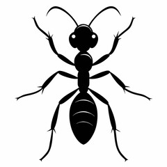 Ant vector silhouette black design white background