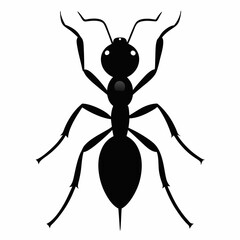 Ant vector silhouette black design white background