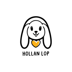 playful Holland Lop rabbit head
