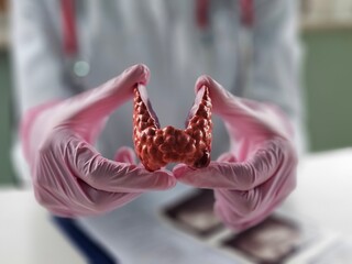 he doctor demonstrates anatomical model of human thyroid gland