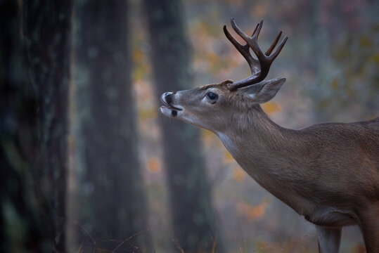 _DSC2877-Enhanced-NR.dng