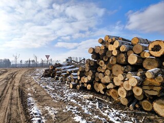 stack of logs. A logging truck on the road and sawn trees stacked in the woods next to the road....