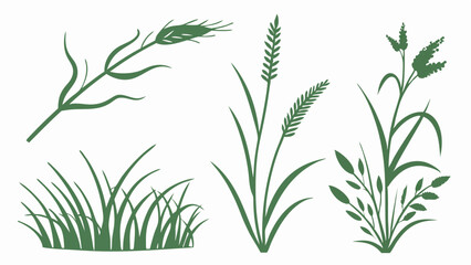 green grass vector
