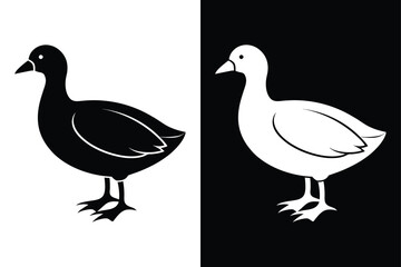 Stylized Coot Silhouette Icon Clean Black & White Vector.