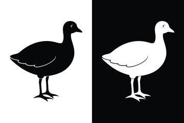 Stylized Coot Silhouette Icon Clean Black & White Vector.