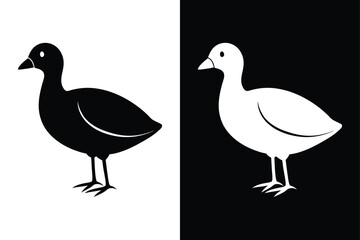 Stylized Coot Silhouette Icon Clean Black & White Vector.
