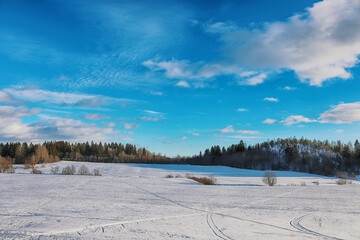 winter landscape with snow