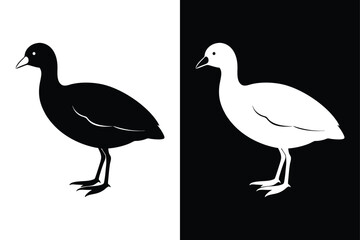 Stylized Coot Silhouette Icon Clean Black & White Vector.