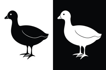 Coot Silhouette Vector Perfect for Logos and Artwork.