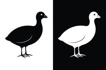 Coot Silhouette Vector Perfect for Logos and Artwork.