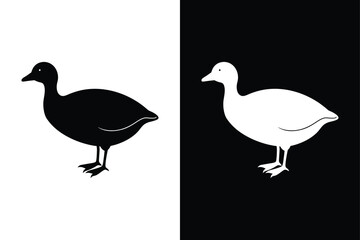 Coot Silhouette Vector Perfect for Logos and Artwork.