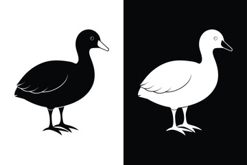 Coot Silhouette Vector Perfect for Logos and Artwork.