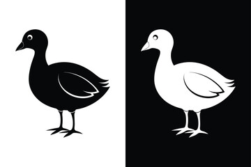 Coot Bird Silhouette Vector Icon – Black and White Background.