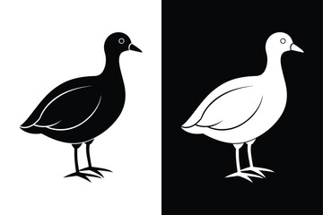 Coot Bird Silhouette Vector Icon – Black and White Background.