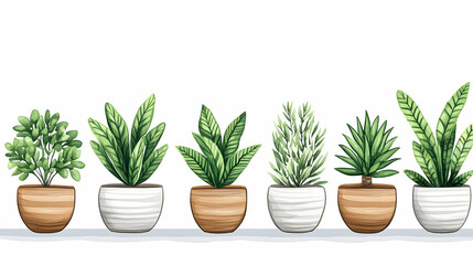 Houseplants in pots on a white background. Adds decor to homes, offices. Decor & design element