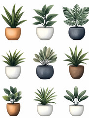 Houseplants in pots, adding nature to a home, isolated on a white background, possible for decor use