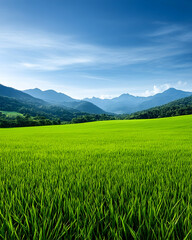 Fototapeta premium Lush green field stretches towards distant mountains under a bright blue sky, ideal for nature themes