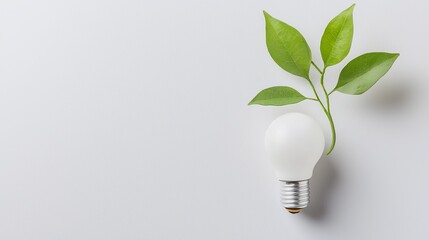 Innovation in sustainability growing green ideas with light bulb indoor space visual concept minimalist environment close-up view