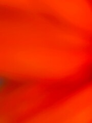 The blurred background of the object photo of flower petals is so close that it is out of focus and blurred. Red gradation