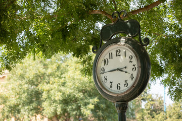 A historic clock stands under a tree canopy in downtown Kingsburg, California, USA.