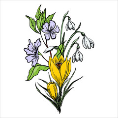 Drawn Colorful Bouquet Of Spring Flowers