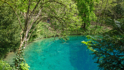 Obraz premium Blautopf in Blaubeuern