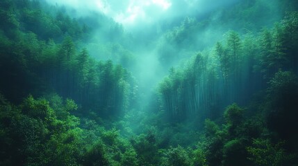 Obraz premium Misty Mountain Forest Valley