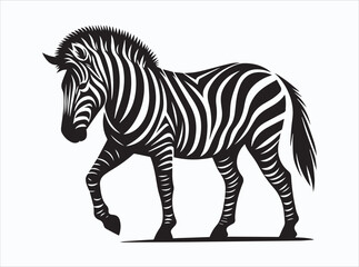 zebra