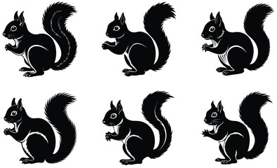 squirrel silhouette vector isolated on white