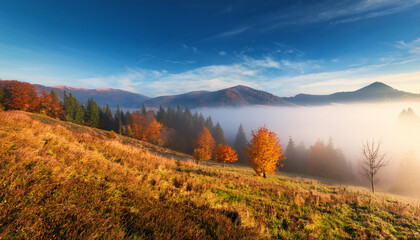Fototapeta premium misty autumn transcarpathia