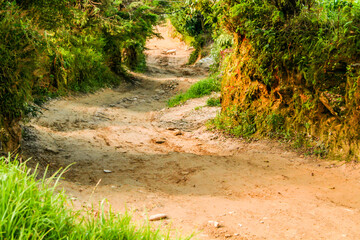 camino