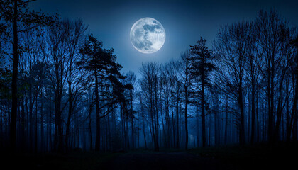 Fototapeta premium a dark and mysterious forest at night the only light comes from a full moon which casts eerie shadows on the trees